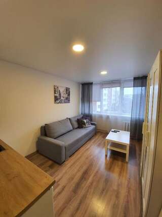 Апартаменты Akropolis Studio Клайпеда Апартаменты с 1 спальней-17